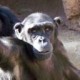 tandanda's avatar