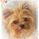 twitterpate1's avatar