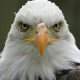Barskon S Moore's avatar