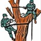 Tree Removal Service Near Me