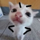 Shivkun's avatar