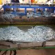 Hình đại diện người dùng