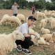 Hình đại diện người dùng