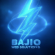 Bajio Web Solutions's avatar