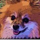 ashleyshea's avatar