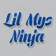 LilMysNinja's avatar