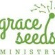 Grace Seeds...a growing ministry's avatar