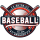 Peanuts Baseball Comic on New Year�s Day