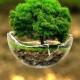 avatar tazkia23
