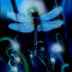 myliupasauli's avatar