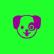 Avatar de junior