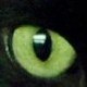 Ha Tikvah's avatar