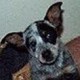 Unknown's avatar