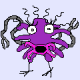 test's avatar