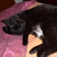 Avatar de Lady Elle