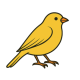 Canary Writes's avatar