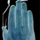 Avatar pengguna