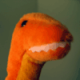 Scott McIntyre's avatar