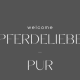 Pferdeliebe-Pur's avatar