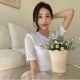 Hình đại diện của Đoàn Kiều Chinh