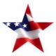 alizaforcelebratingamerica's avatar