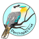 PerchSpective's avatar