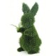 greentopiaries's avatar