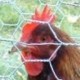 itsfood's avatar