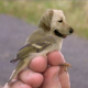 birddog202's avatar