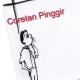 coretanpinggir's avatar