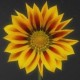 mamafog's avatar