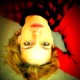 Avatar de Maria Luisa Labarthe