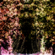 Mountainside Musings & stuff's avatar