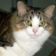 Mme T's avatar