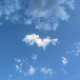 صورة رمزية للمستخدم