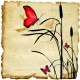 Unknown's avatar