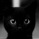 kondensofke's avatar