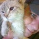 Darren W. Lyle's avatar