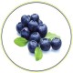 eat2healthblog's avatar