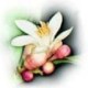 Unknown's avatar
