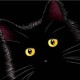Avatar de carolinaeraso
