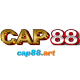 Cap88's avatar