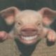 Evilpig's avatar