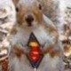 Donna Young's avatar
