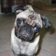 Wodun's avatar
