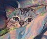 フォトギャラリーの画像