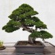 Hình ảnh của thư viện ảnh