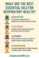 essential oils for respiratory health infographic