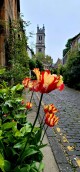 Edinburgh, Scotland - Circus Lane