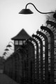 Fotogalerie-Bild